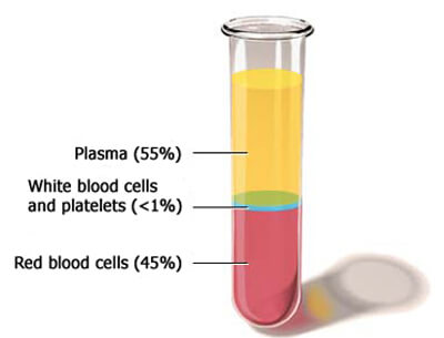 Platelet Rich Plasma (PRP) Portland